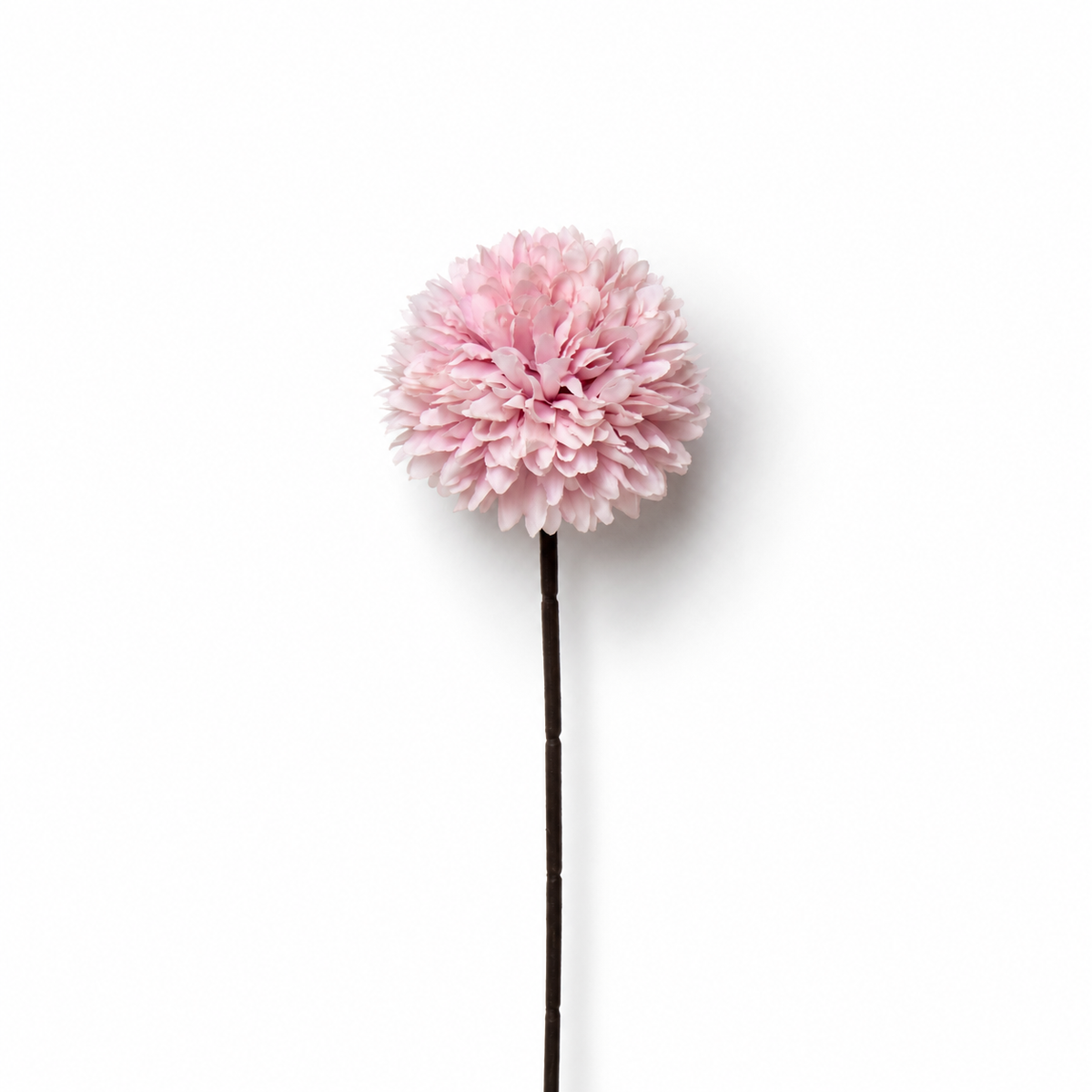 Pink Pom Pom Stem