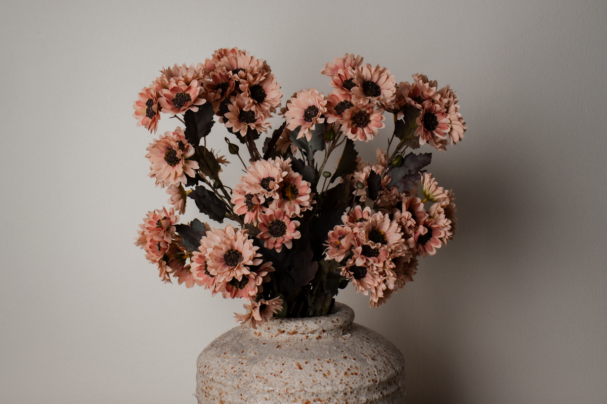Blush Chrysanthemum Stem