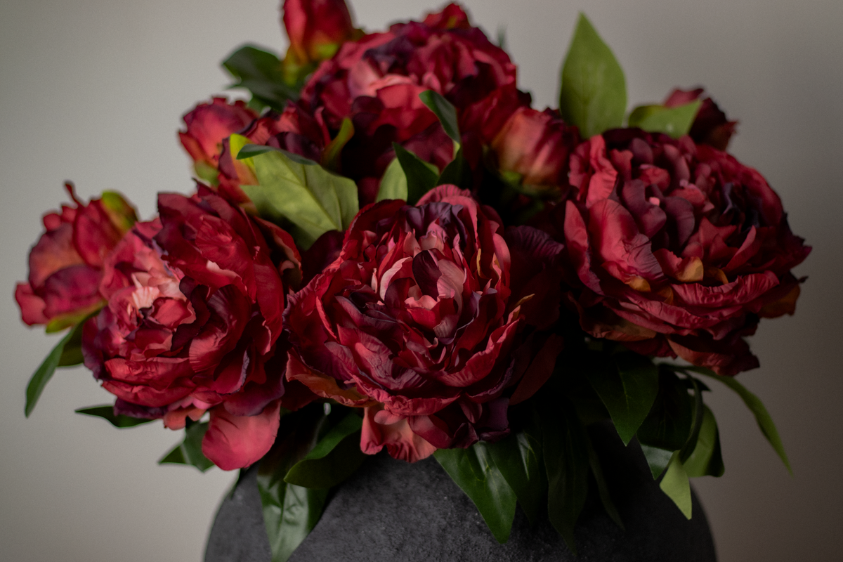 Burgundy Peony Stem