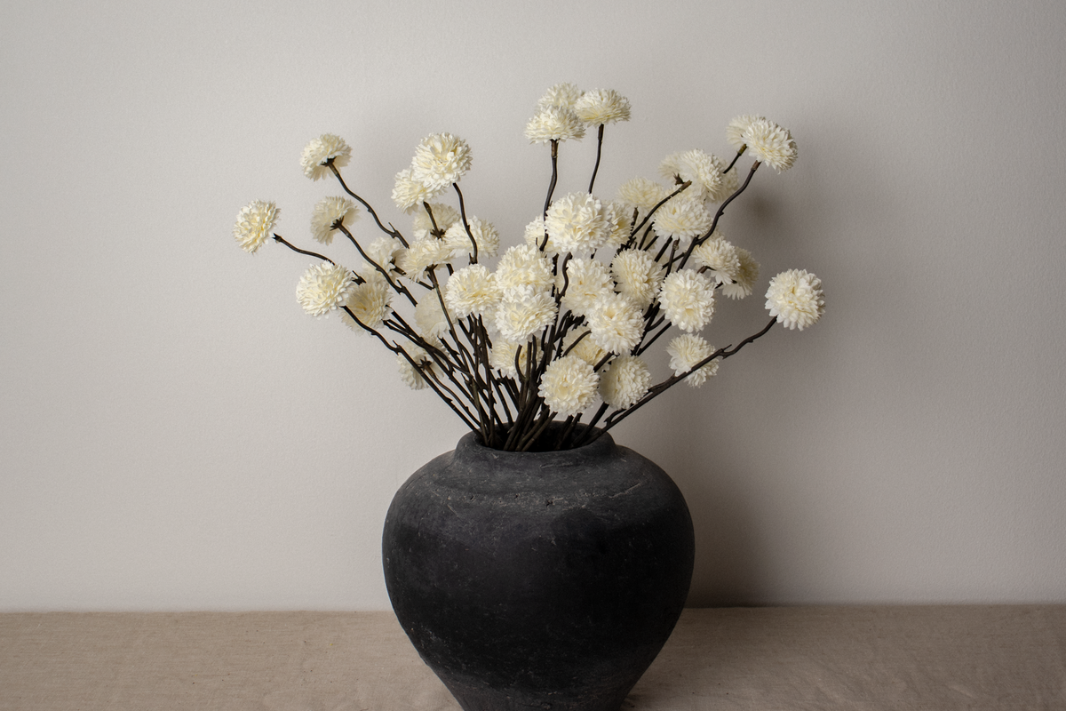 Cream Pom Pom Chrysanthemum Stem