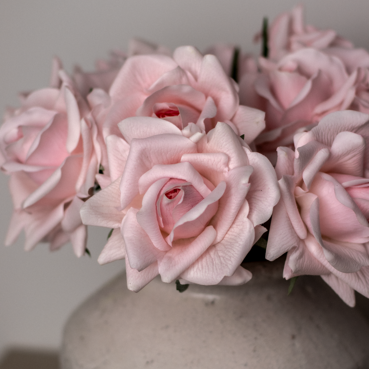Light Pink Rose Bunch