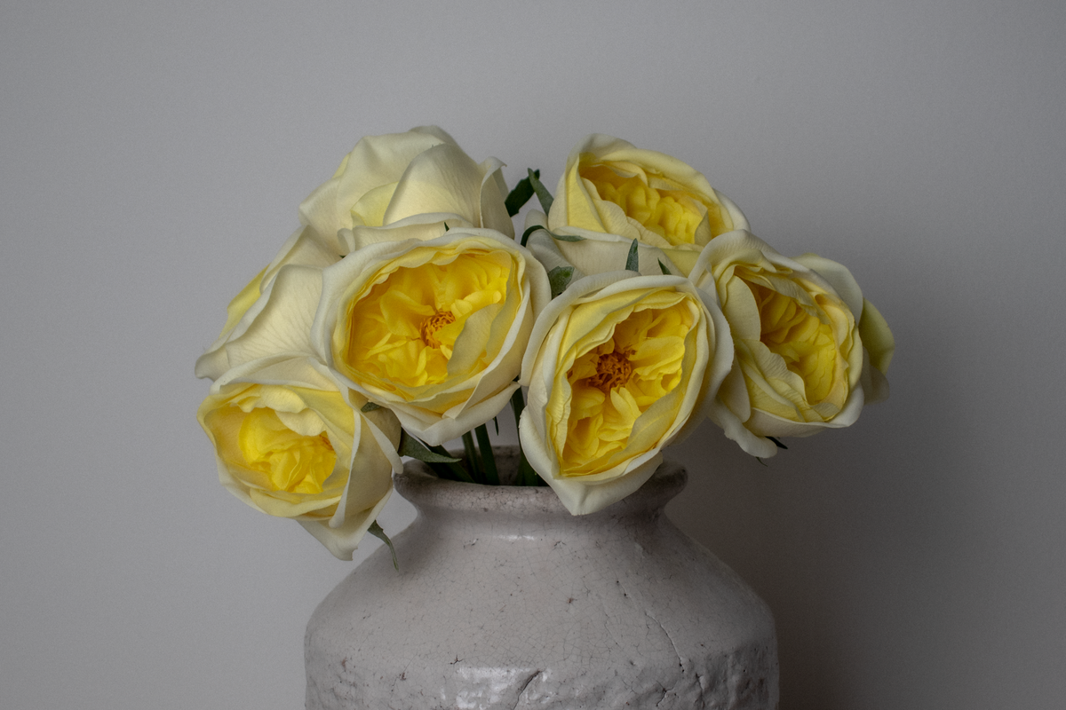 Yellow Austin Rose Bunch