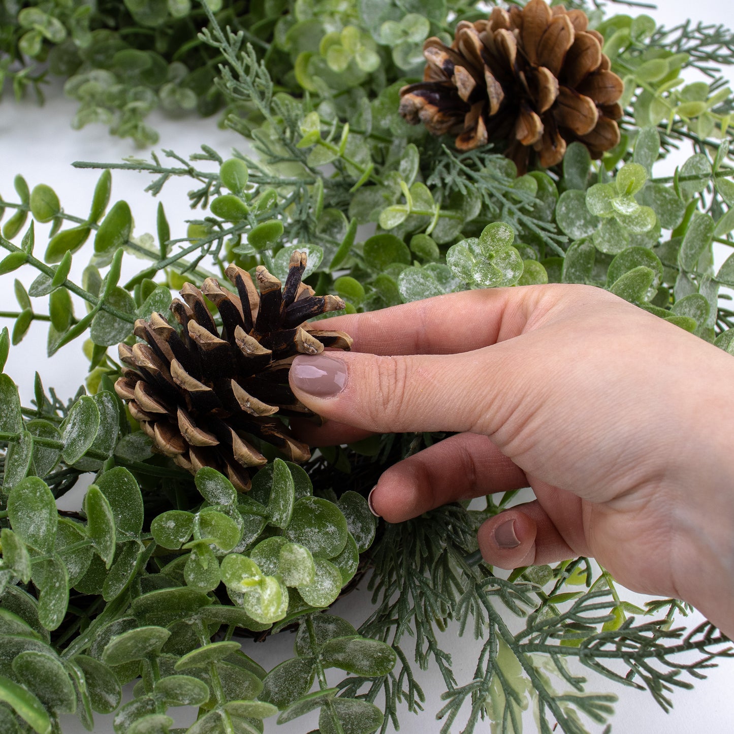 Pinecone (Pack of 6)
