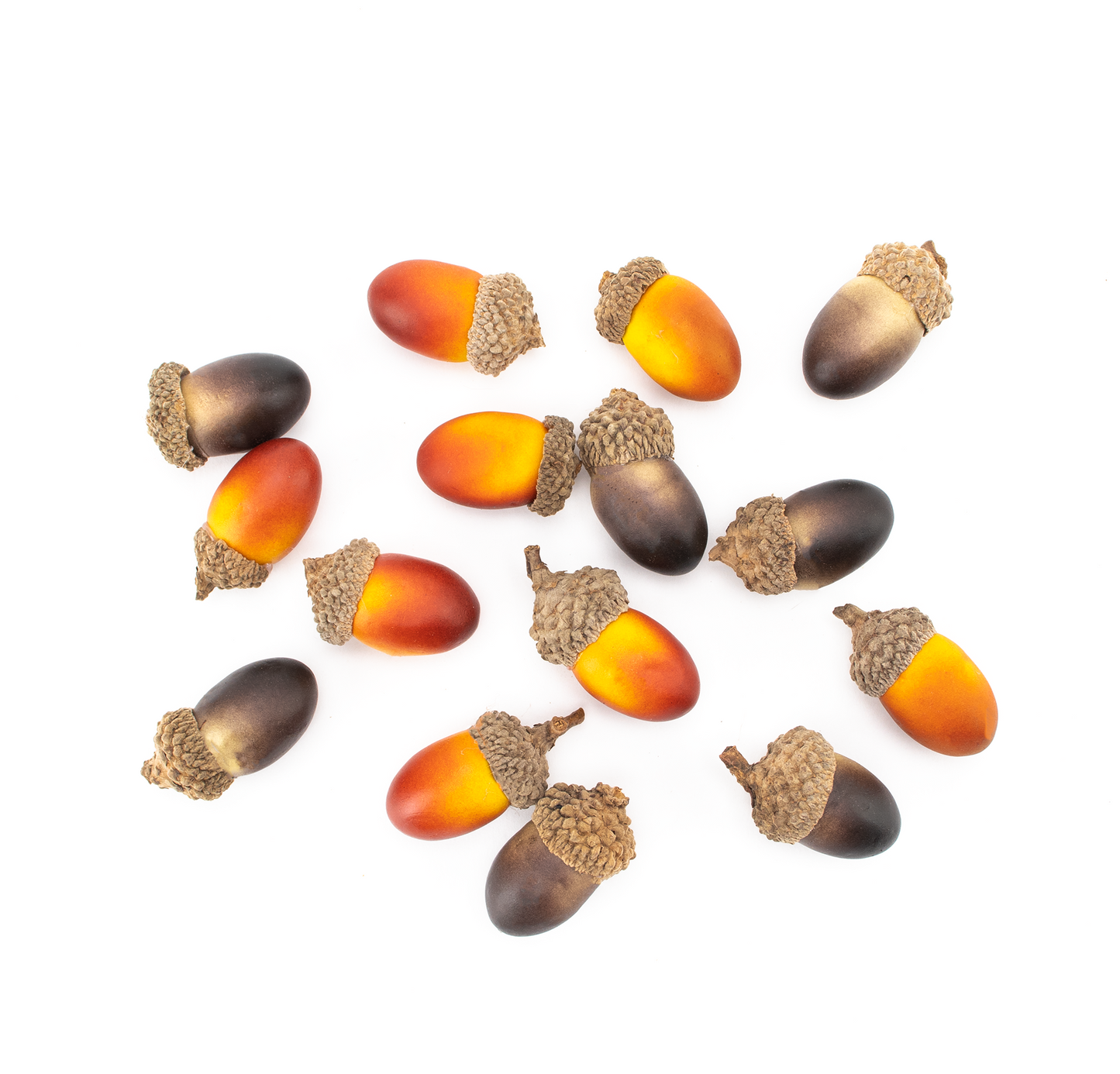 Acorns (Pack of 15)