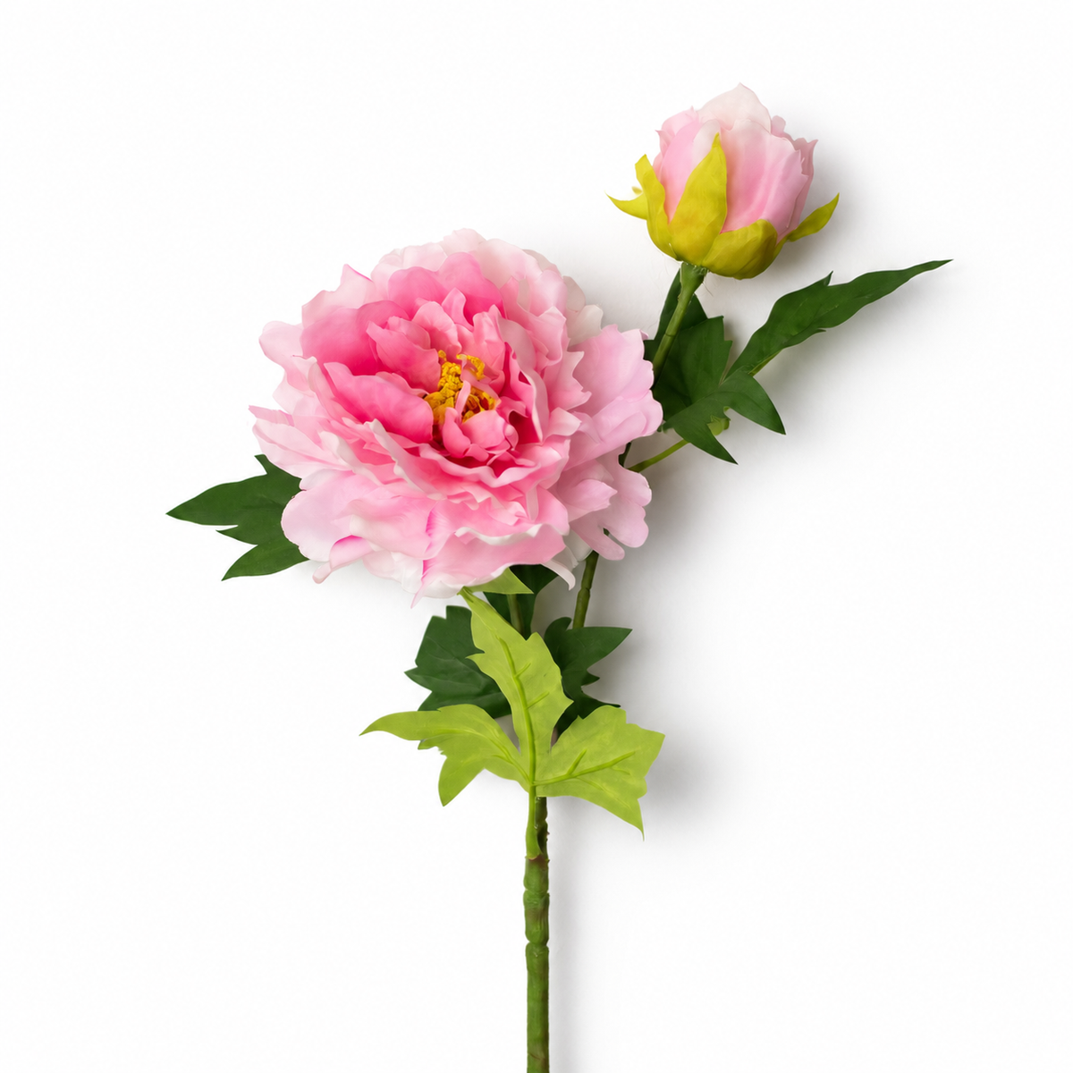 Pink Peony Stem