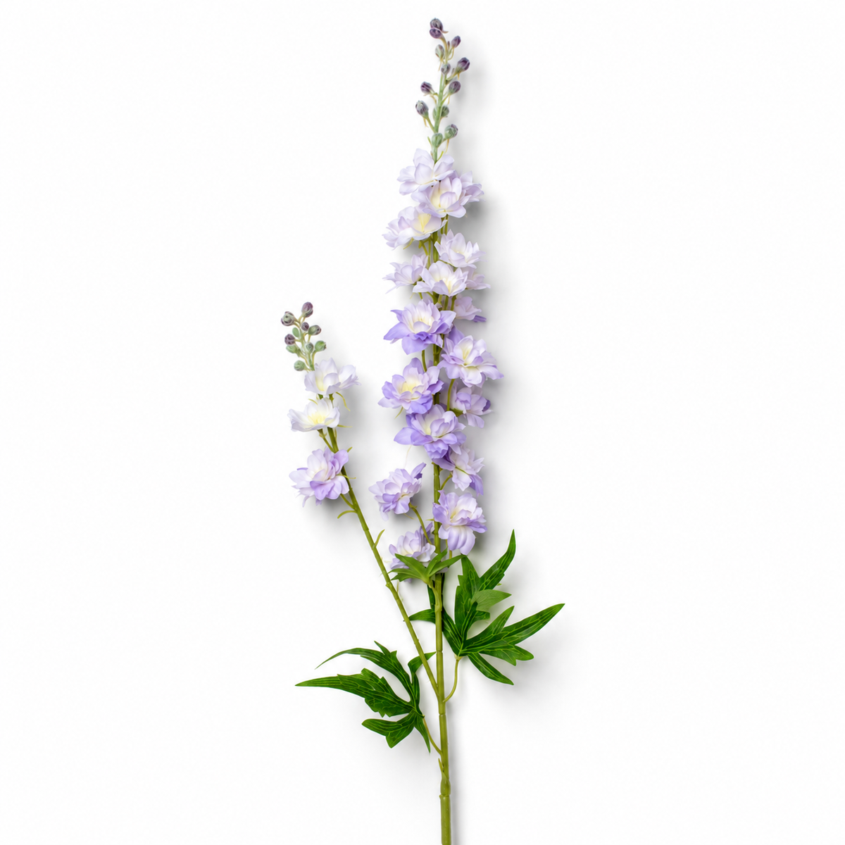 Purple Delphinium Stem