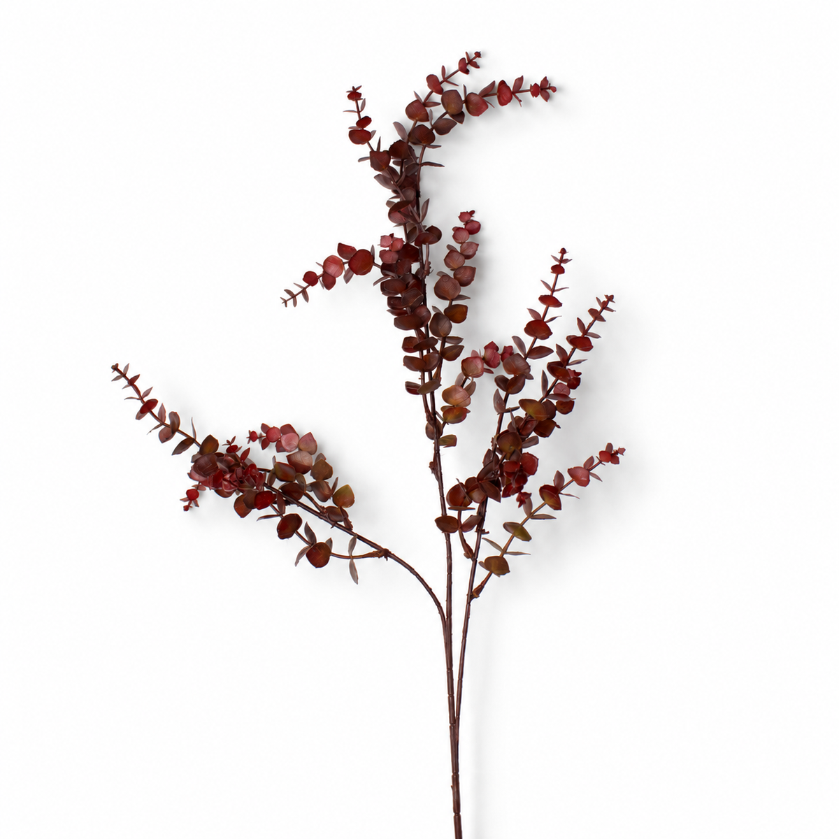 Burgundy Eucalyptus Stem