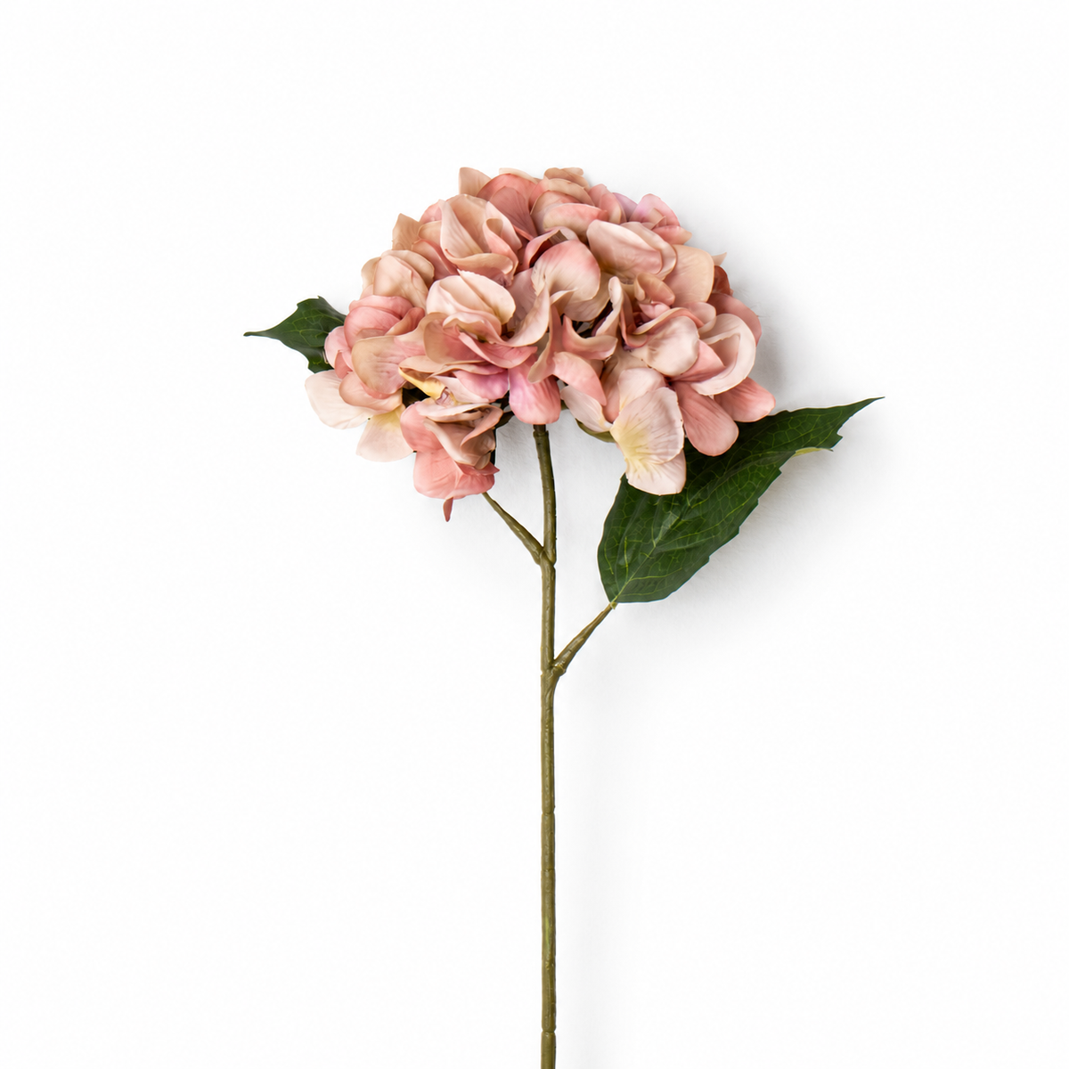 Blush Hydrangea Stem