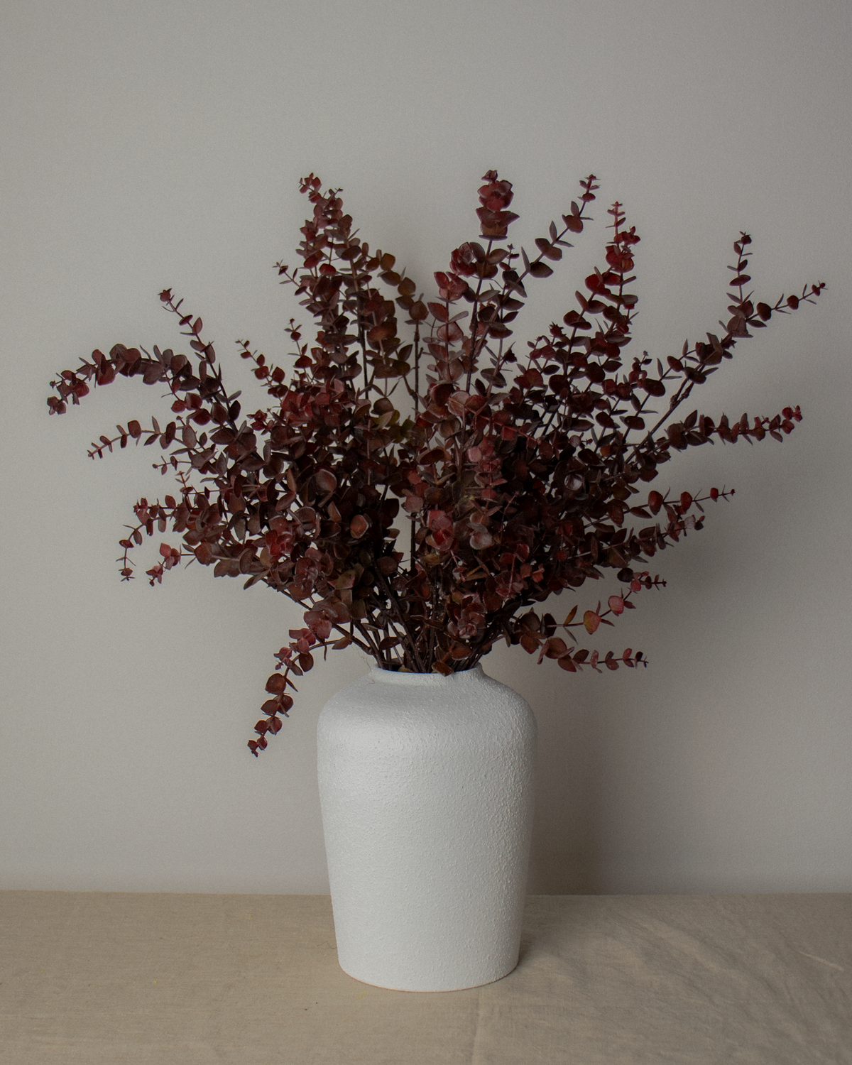 Burgundy Eucalyptus Stem