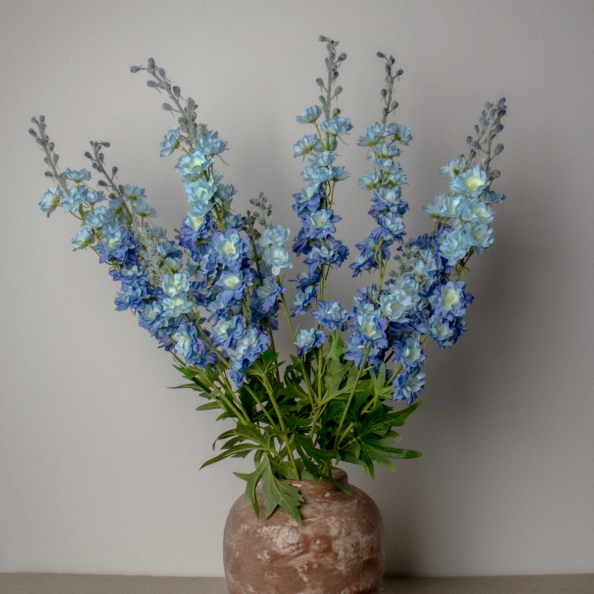 Blue Delphinium Bunch