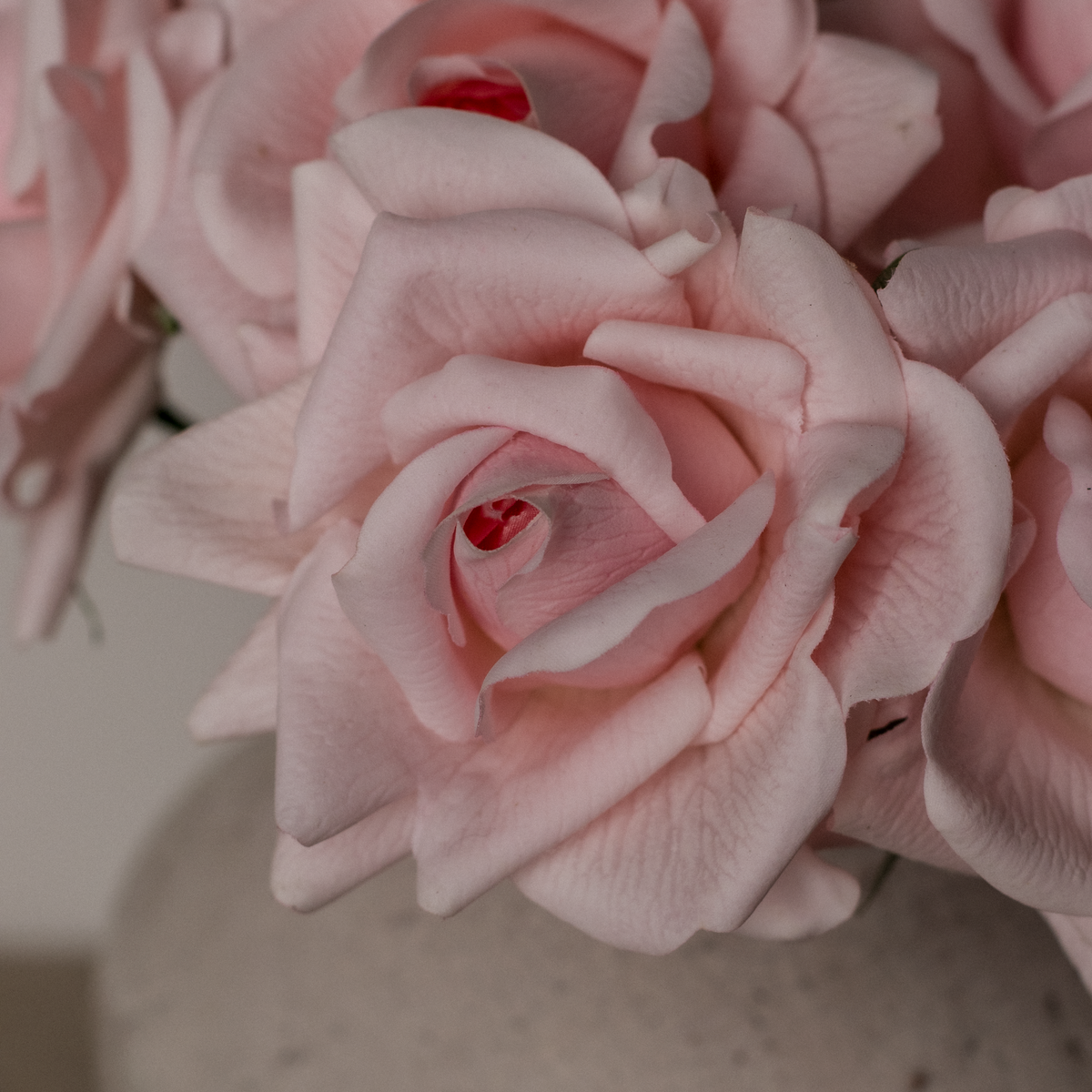 Light Pink Real Touch Rose