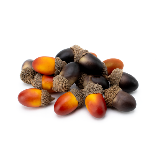 Acorns (Pack of 15)
