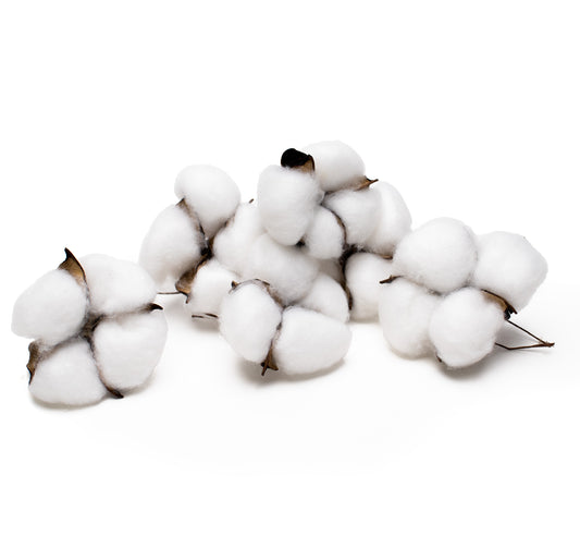 Cotton Heads (Pack of 6)