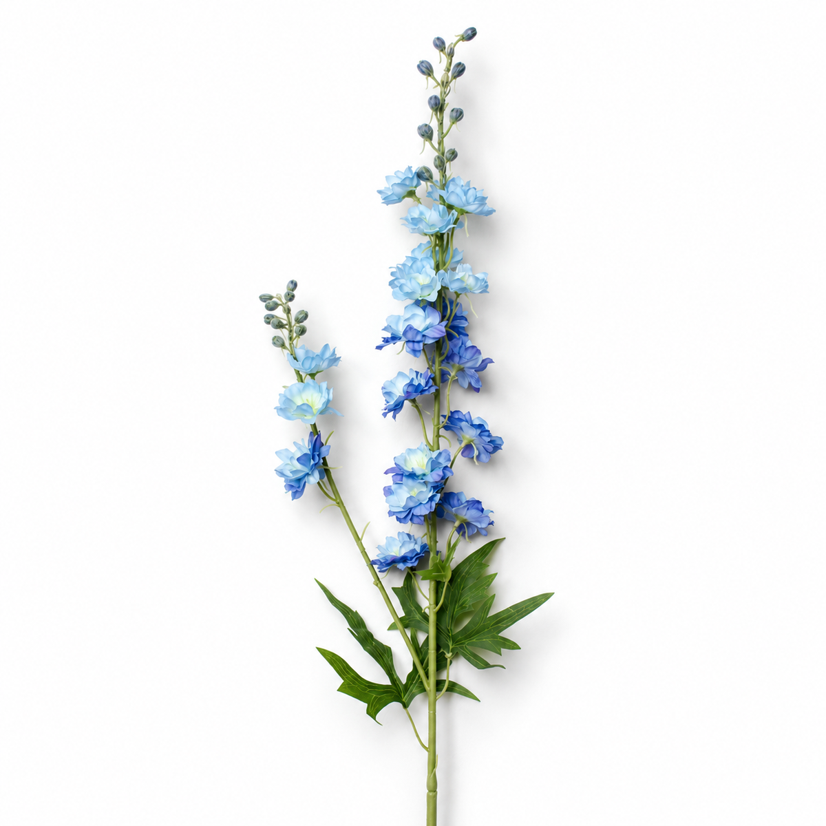Blue Delphinium Stem