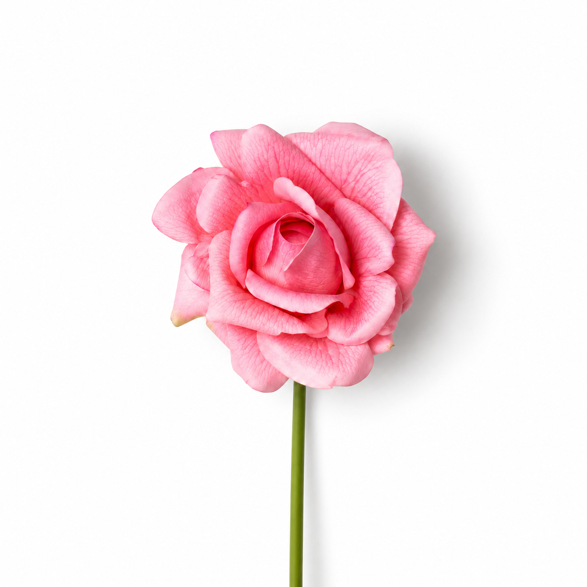 Pink Real Touch Rose